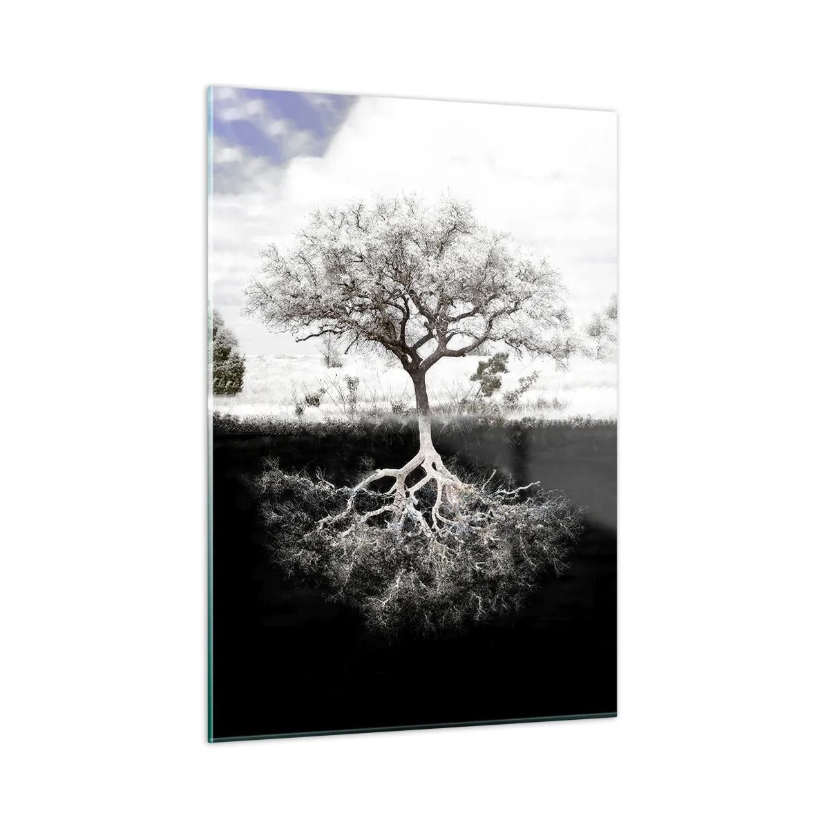 Billede på glas - Opdagelse af verdens natur - 50x70 cm