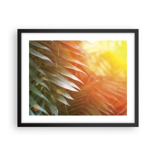 Plakat i sort ramme - Morgen i junglen - 50x40 cm
