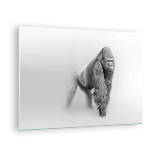 Billede på glas - Sort-hvidt portræt af en majestætisk gorilla mod en hvid baggrund - 70x50cm - Selvsikker på sin styrke - Moderne vægdekoration til stue og soveværelse ARTTOR
