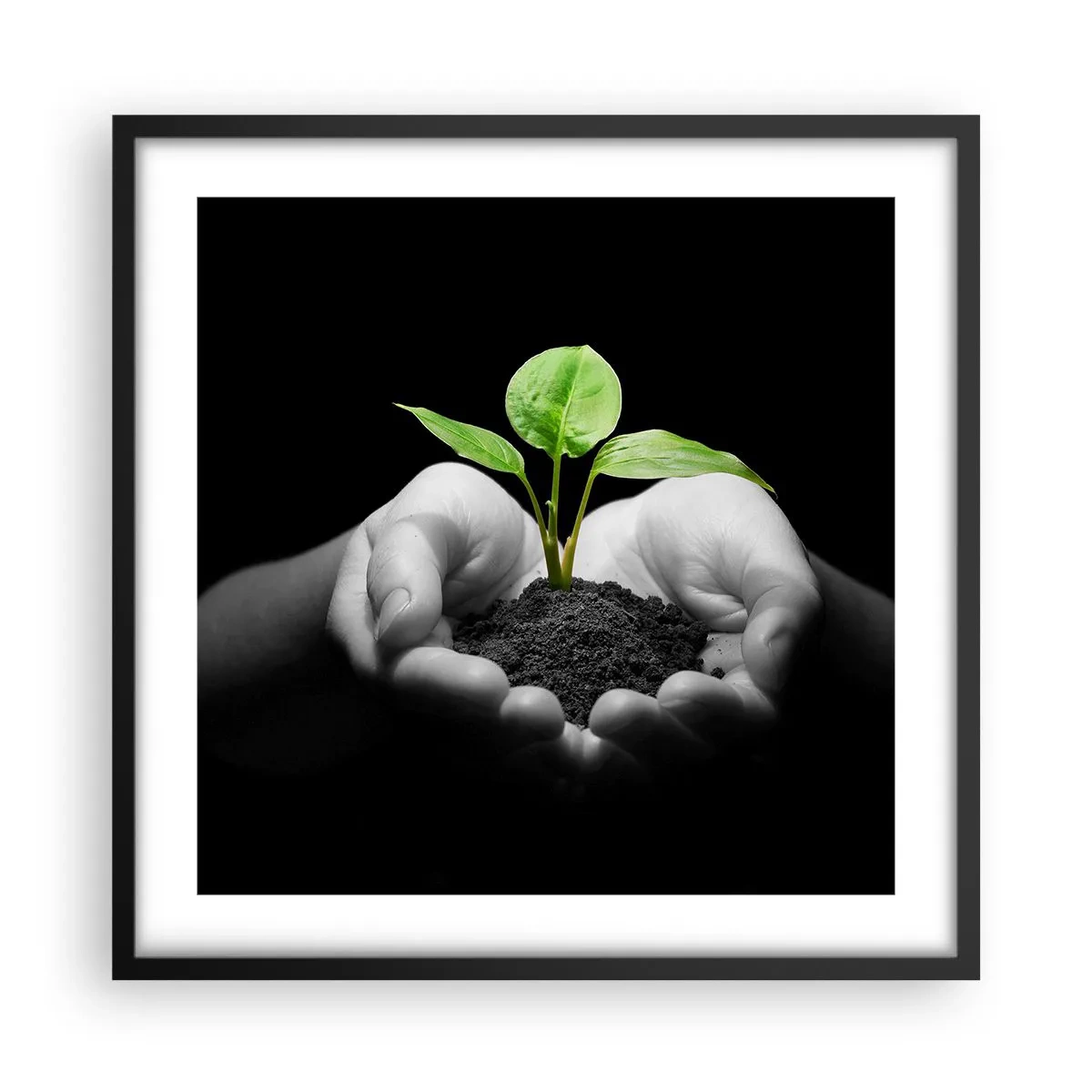 Plakat i sort ramme - Jeg elsker naturen, jeg beskytter den - 50x50 cm