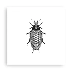 Plakat - Sikke et eksemplar! - 50x50 cm