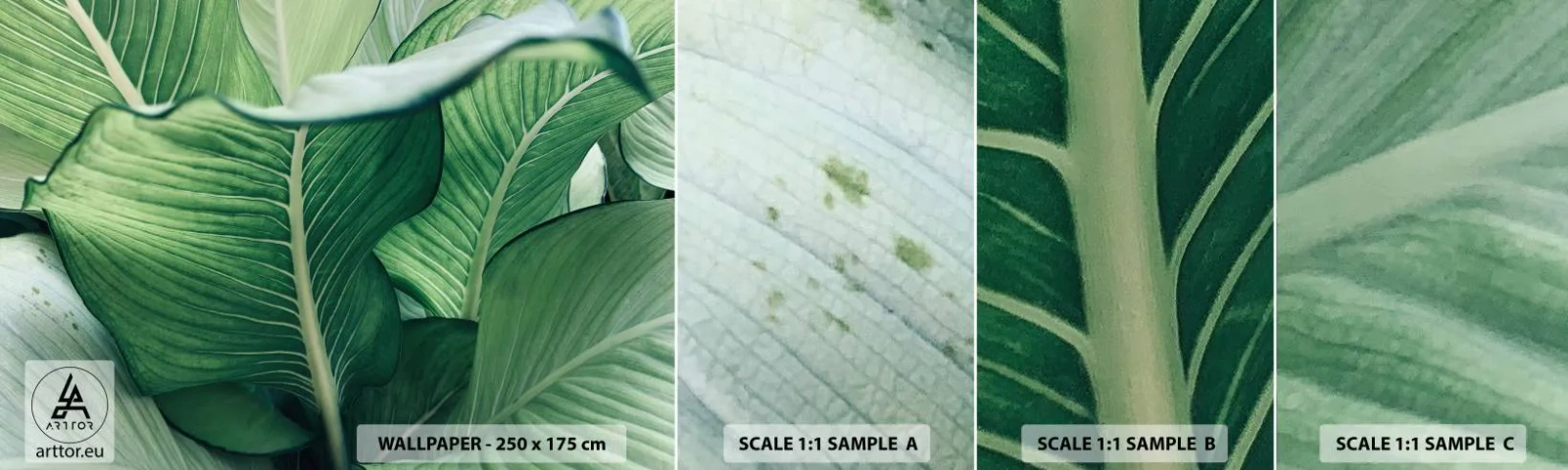 Prøve Fototapet Selvklæbende Deluxe Sticker - Livet er intenst grønt - Blade, Eksotisk, Botanisk - 100x30 cm