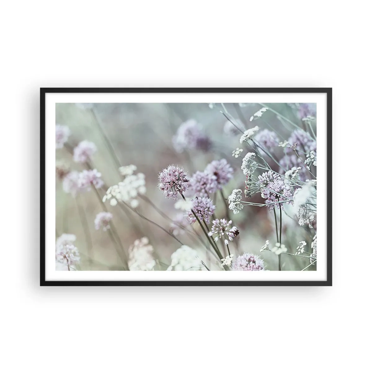 Plakat i sort ramme - Søde filigranurter - 91x61 cm