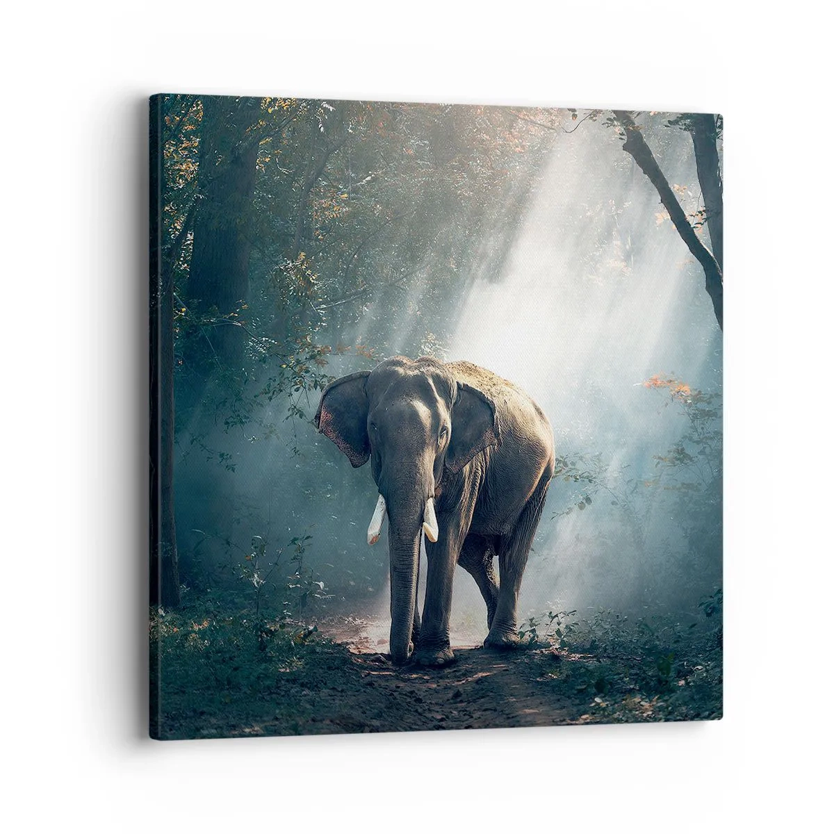 Lærredstryk - Billede på lærred - En fredelig gåtur - 40x40 cm