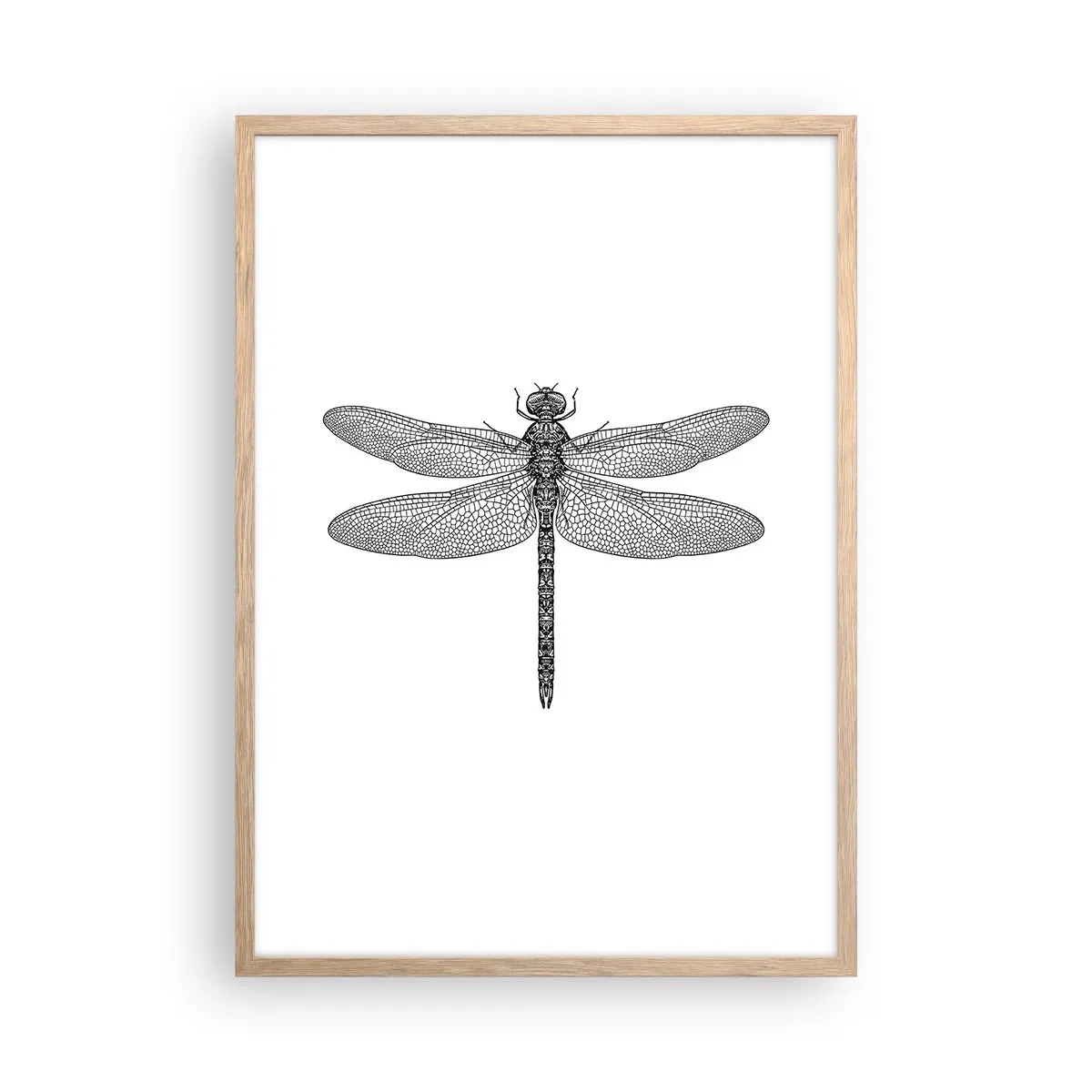 Plakat i ramme af lyst egetræ - Præcision i naturen - 50x70 cm