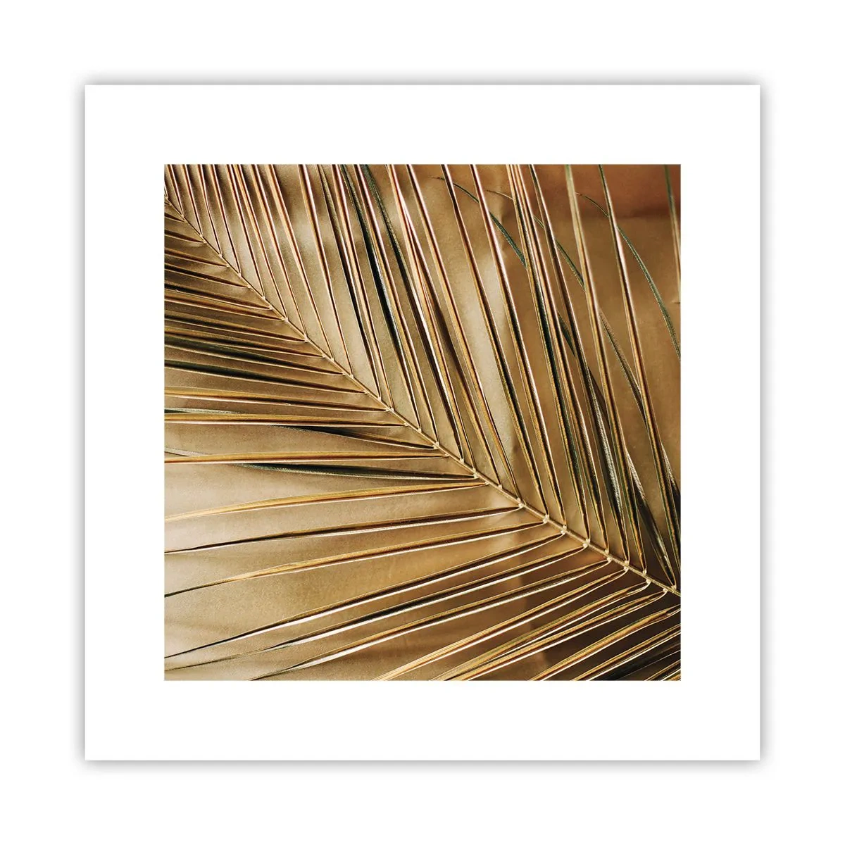 Plakat - Naturlig kolonnade - 30x30 cm
