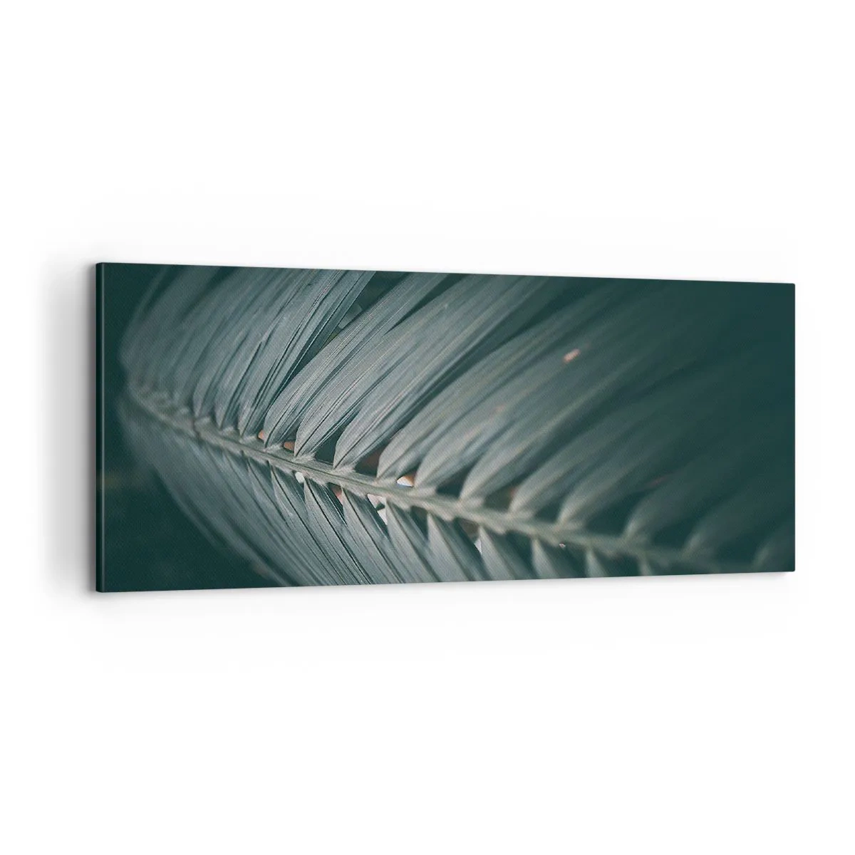 Lærredstryk - Billede på lærred - Naturens præcision - 100x40 cm