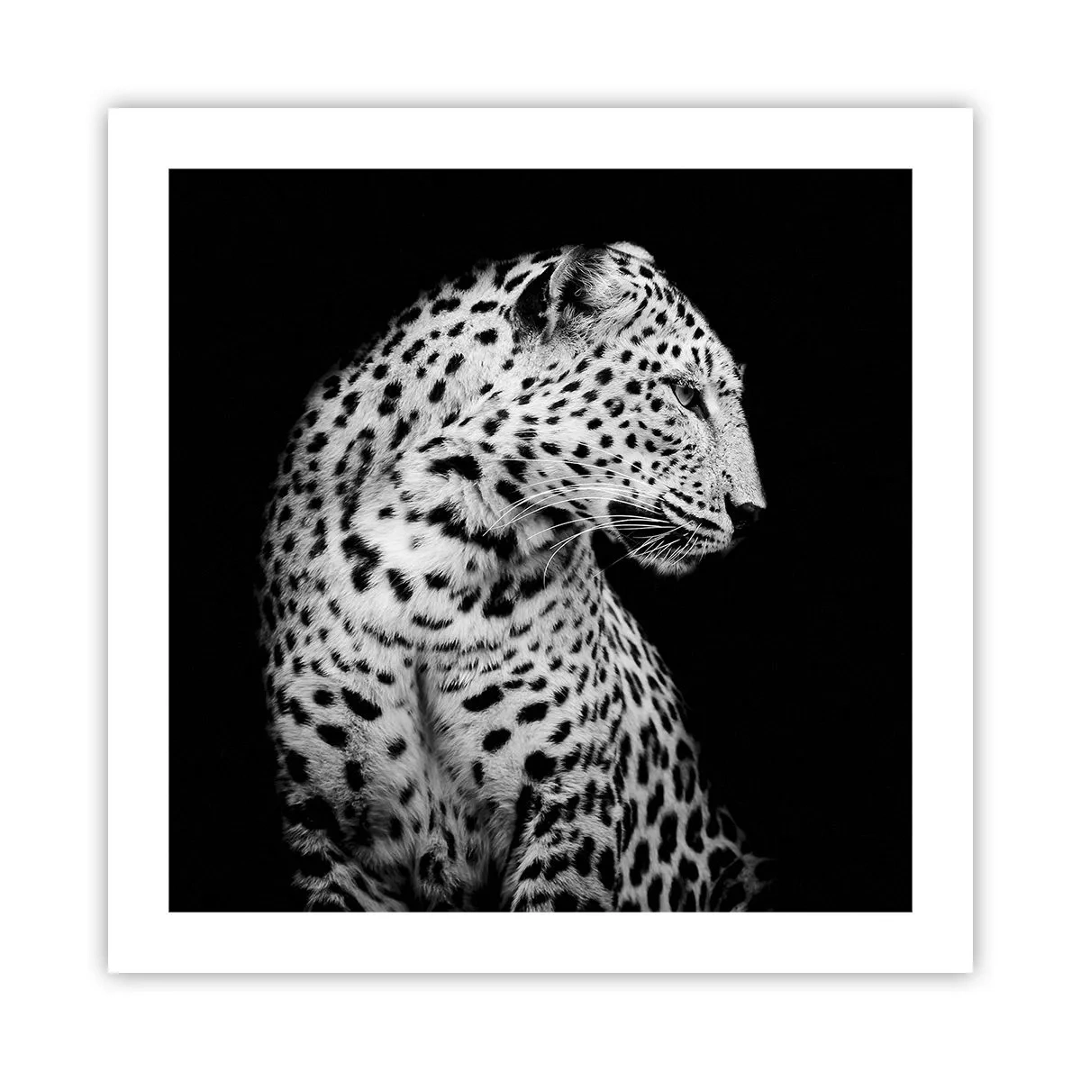 Plakat - Den rigtige profil er perfekt! - 50x50 cm