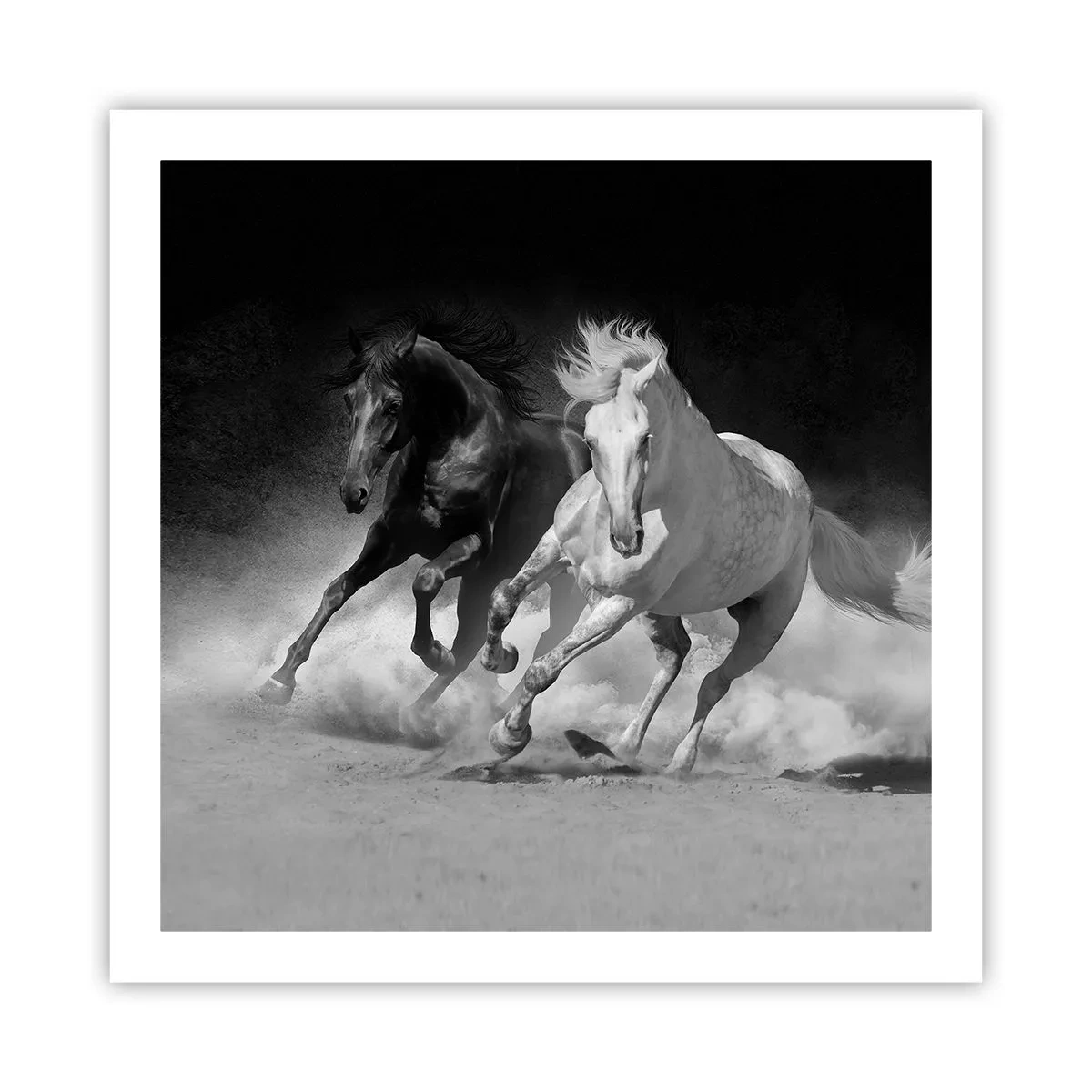 Plakat - Frihedens galop - 60x60 cm