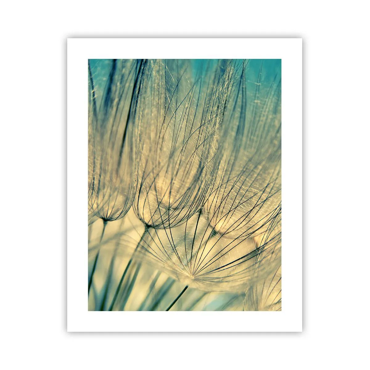 Plakat - Venter på vinden - 40x50 cm