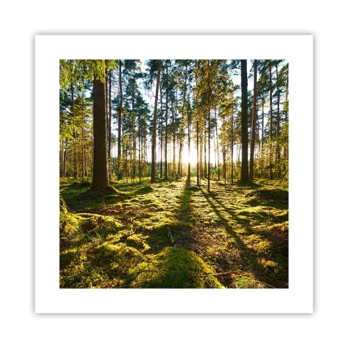 Plakat - ...Bag de syv skove - 40x40 cm