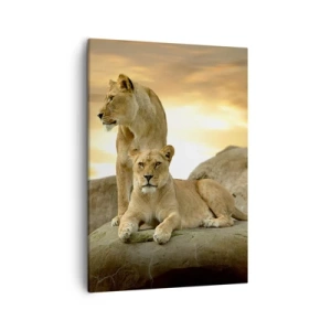 Lærredstryk - Billede på lærred - Kongelig majestæt - 50x70 cm
