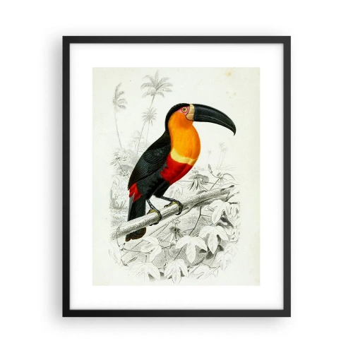 Plakat i sort ramme - Fuglefarver - 40x50 cm