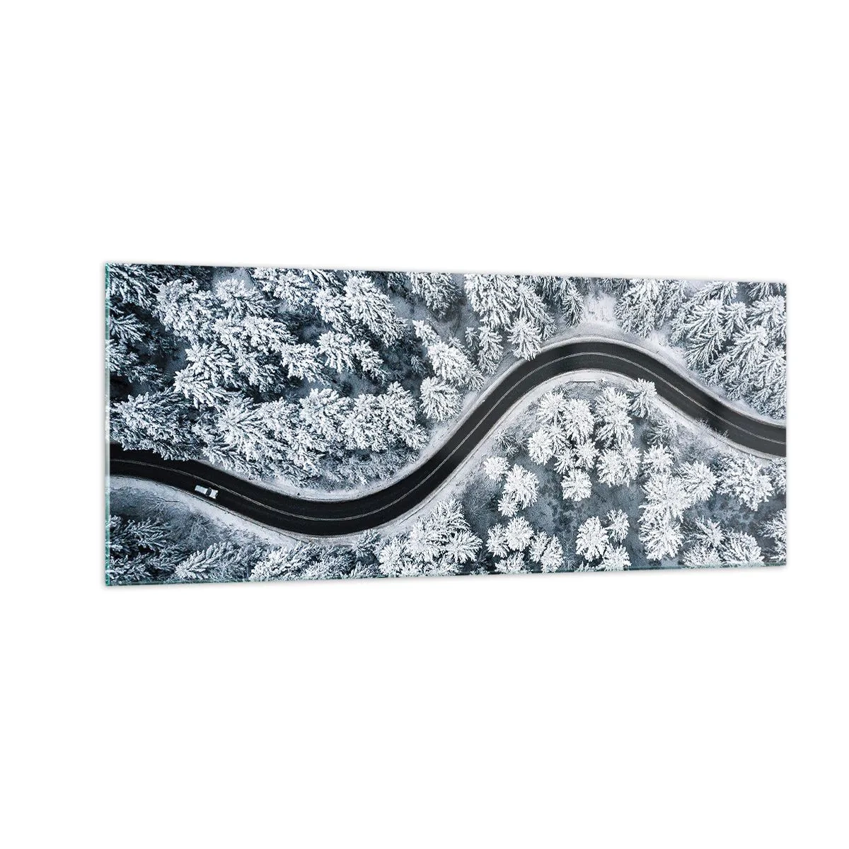 Billede på glas - Gennem en vinterskov - 100x40 cm