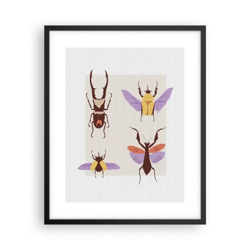 Plakat i sort ramme - Insekternes verden - 40x50 cm