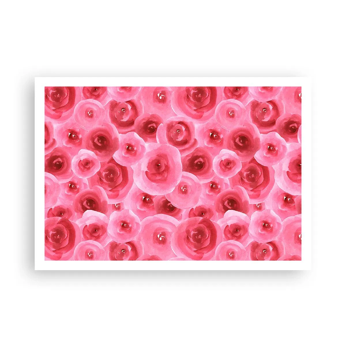 Plakat - Roser under og over - 100x70 cm