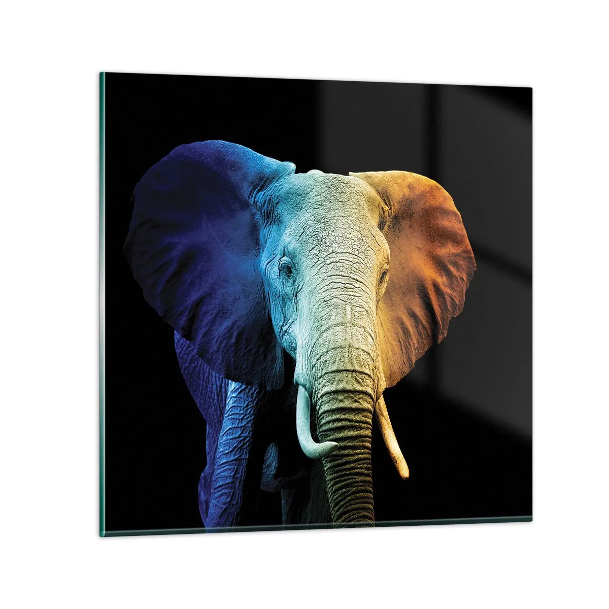 Billede på glas - Excentrisk, ikke underlig - 70x70 cm