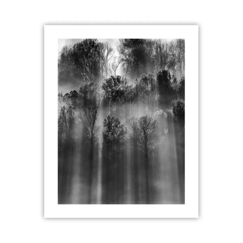 Plakat - I stråler af lys - 40x50 cm