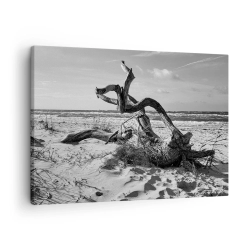 Lærredstryk - Billede på lærred - Sort-hvidt landskab med et dødt træ på stranden - 70x50cm - Havets skulptur - Moderne vægdekoration til stue og soveværelse ARTTOR