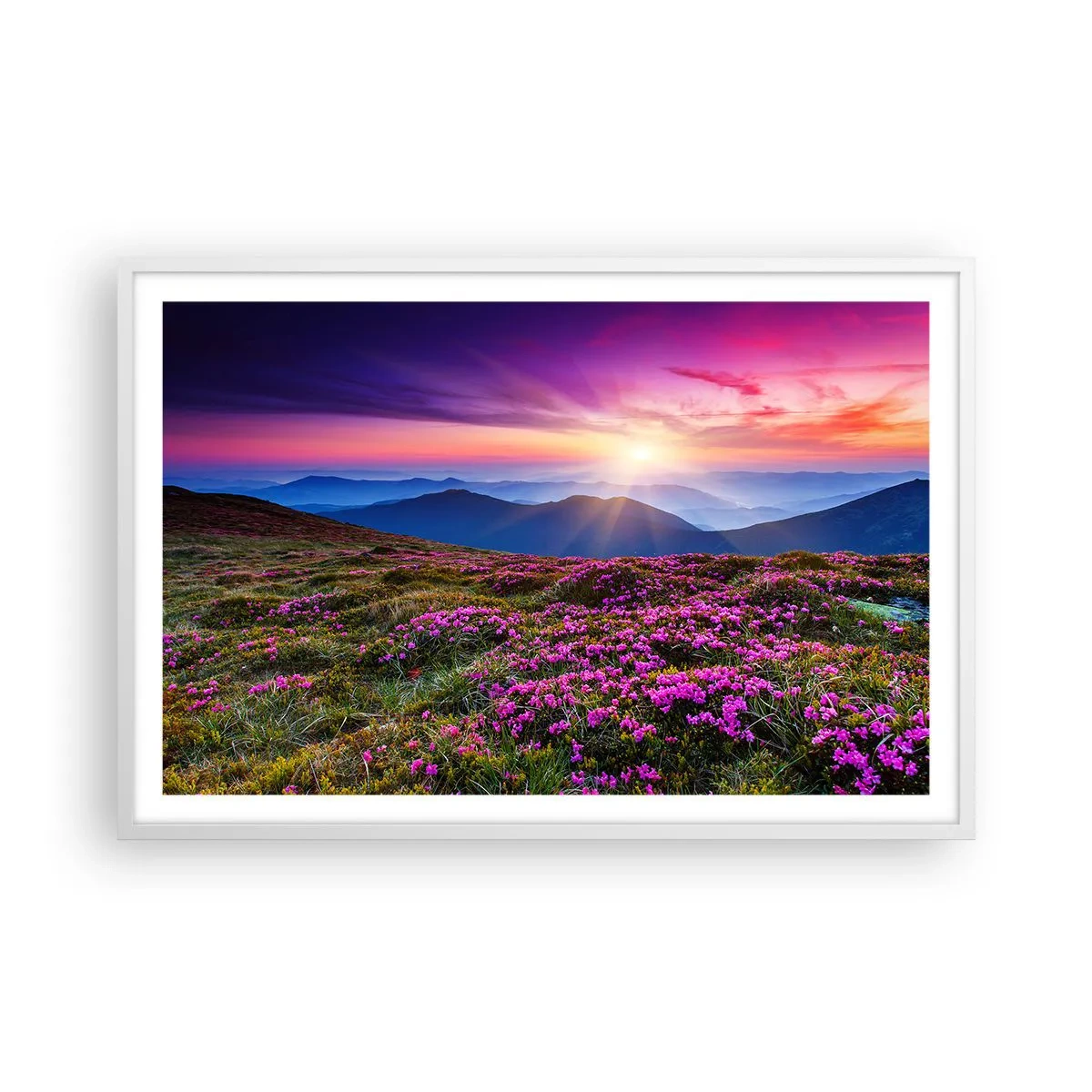 Plakat i hvid ramme - Urter duftede friske bundter fra niw - 91x61 cm