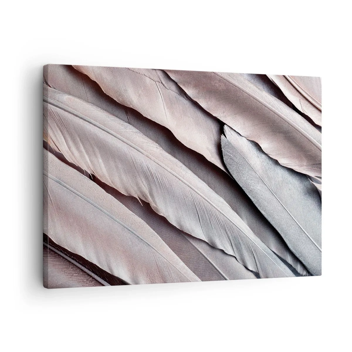 Lærredstryk - Billede på lærred - Delikate fjer i diskrete grå og beige nuancer - 70x50cm - I lyserødt sølv - Moderne vægdekoration til stue og soveværelse ARTTOR