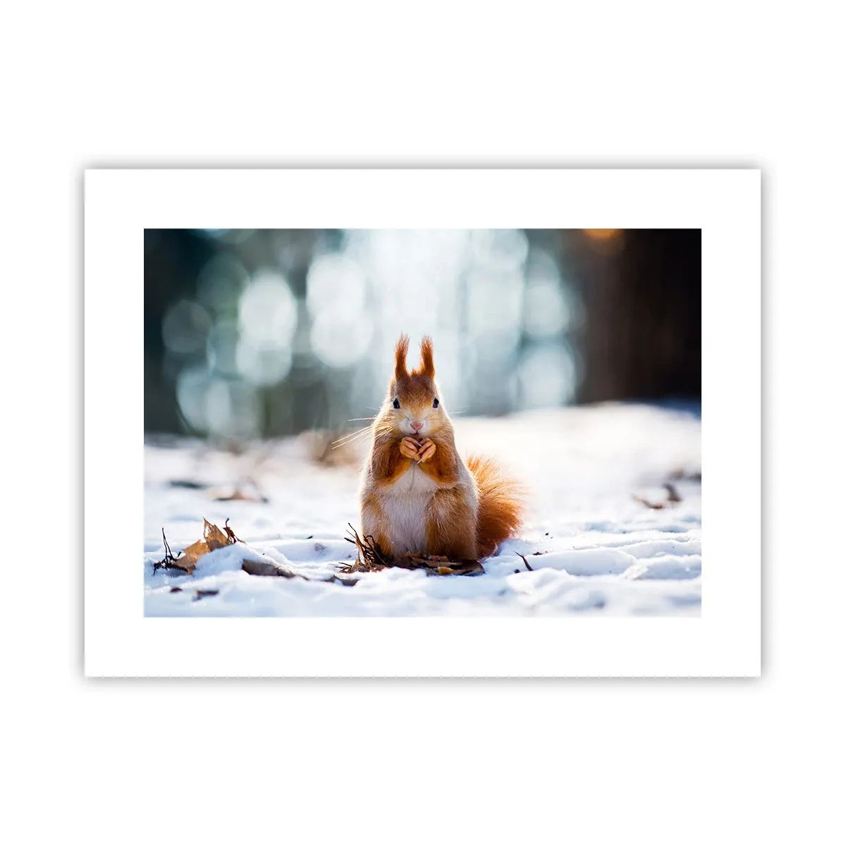 Plakat - Og hvad kigger du på? - 40x30 cm