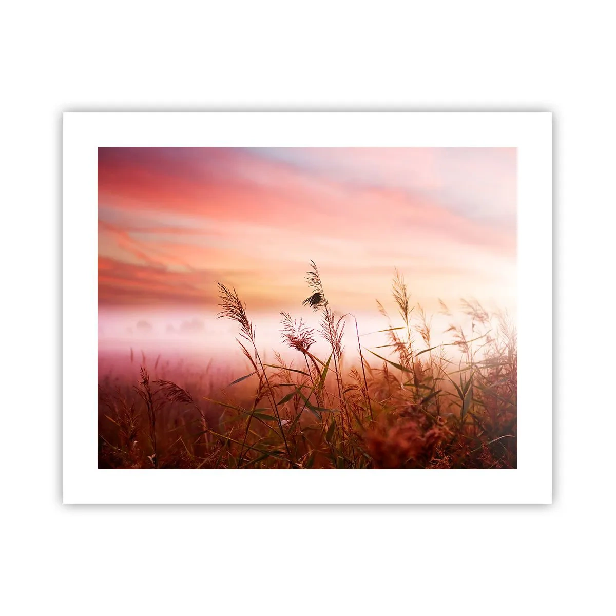 Plakat - Drager, blæsere, vind - 50x40 cm