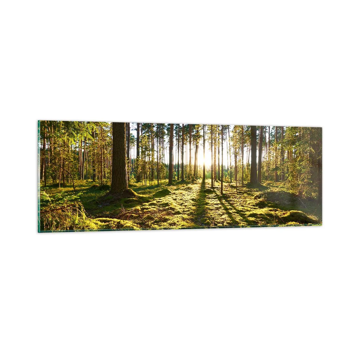 Billede på glas - ...Bag de syv skove - 90x30 cm