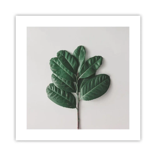 Plakat - Tegning af selve naturen - 40x40 cm