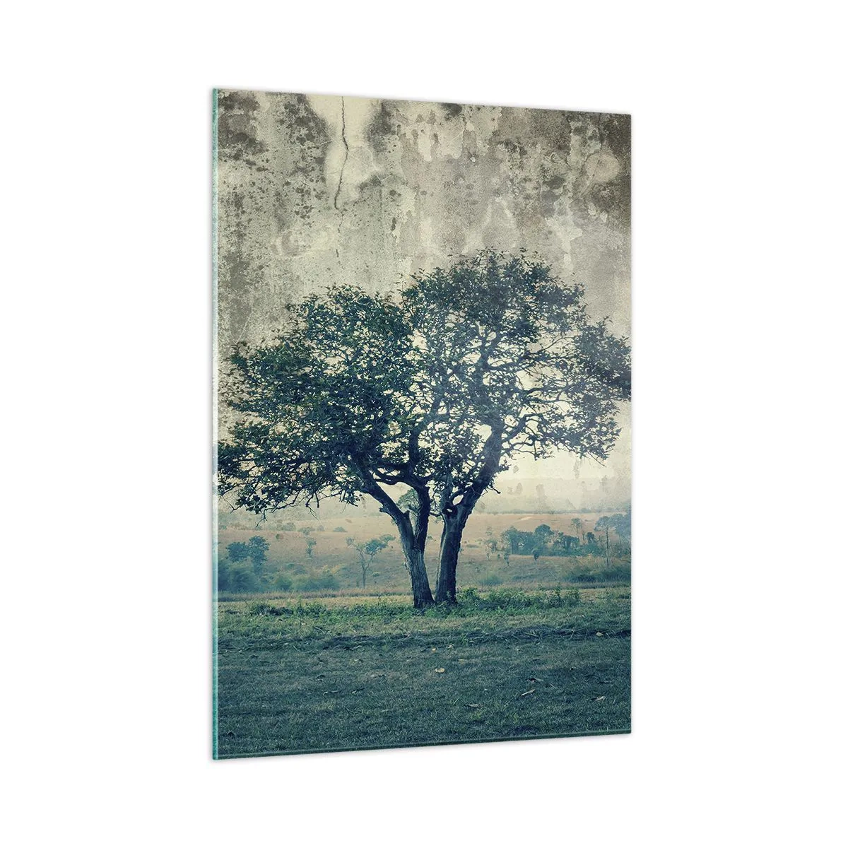 Billede på glas - Et æbletræ på en blå membran? - 50x70 cm