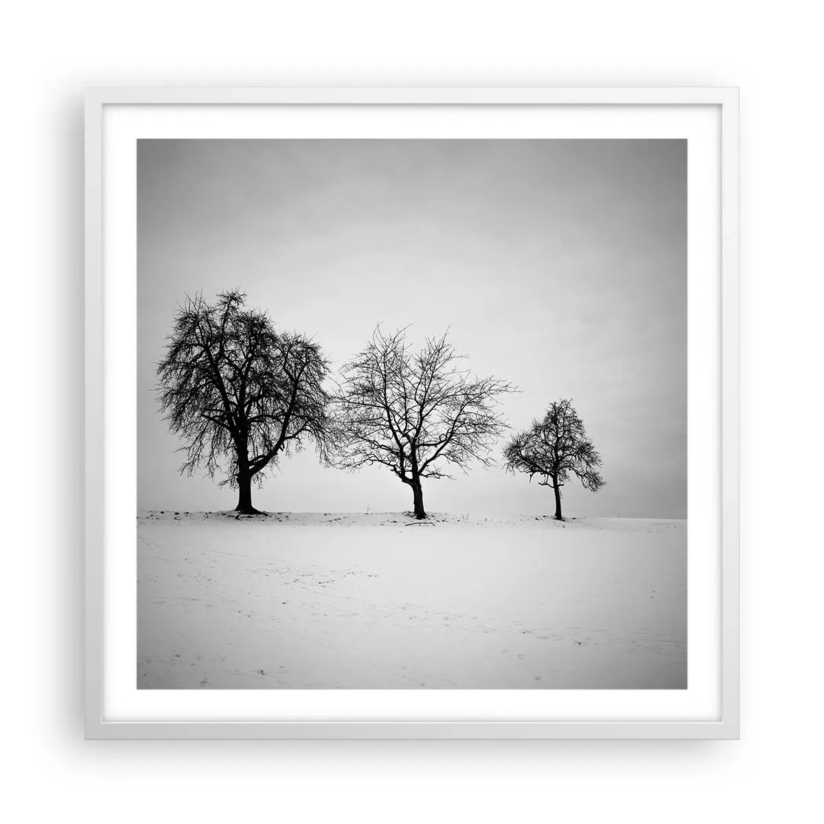 Plakat i hvid ramme - Hvad drømmer de om? - 60x60 cm