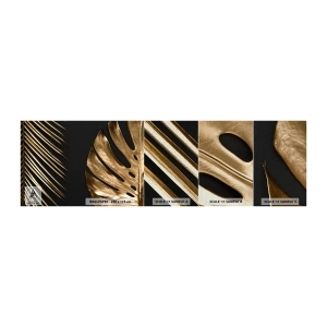 Prøve Fototapet Premium Sand - Forskellige, og lige dyre - Palmeblad, Monstera blad, Abstraktion - 100x30 cm