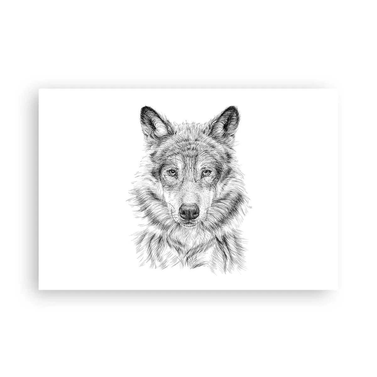 Plakat - En født leder - 91x61 cm