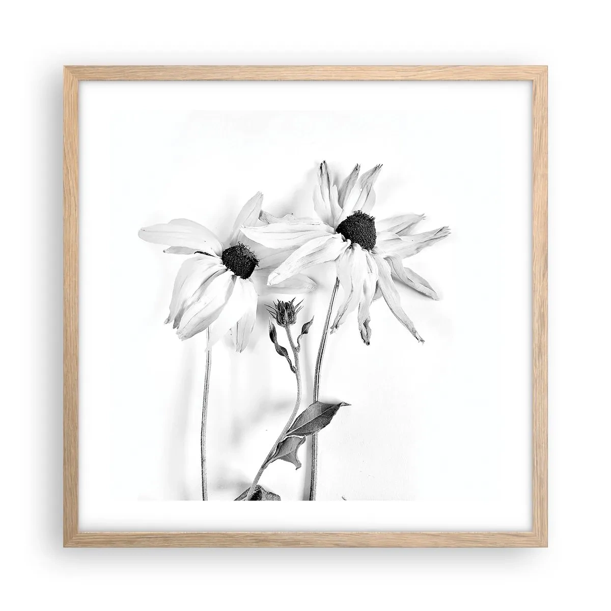 Plakat i ramme af lyst egetræ - Ingen ønsker at være alene - 50x50 cm