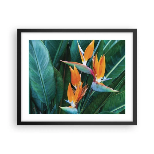 Plakat i sort ramme - Er det en blomst eller er det en fugl? - 50x40 cm