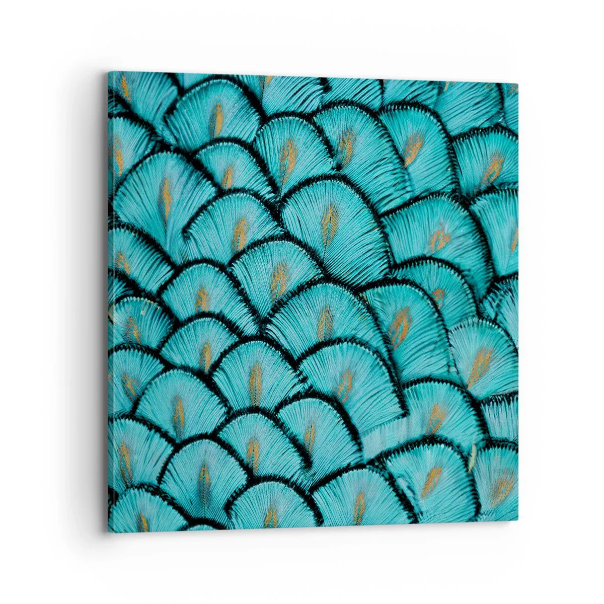 Lærredstryk - Billede på lærred - Den store fjer-galla - 70x70 cm