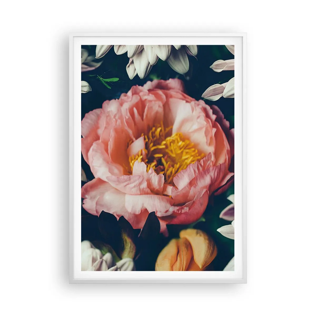 Plakat i hvid ramme - Med barok pragt - 70x100 cm
