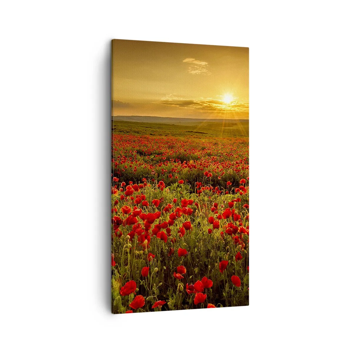 Lærredstryk - Billede på lærred - Blandt bølgerne af raslende enge, blandt flodblomster - 45x80 cm