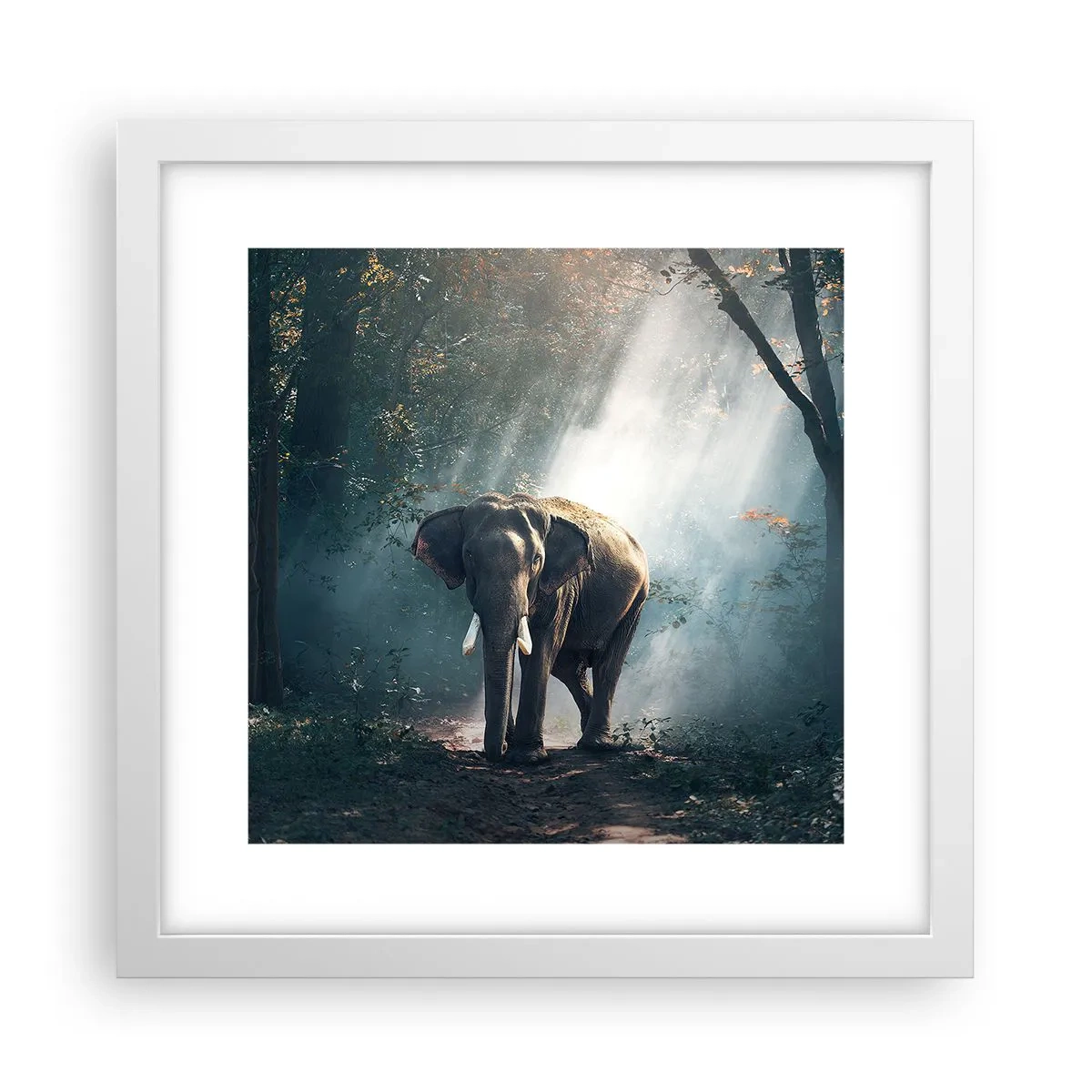 Plakat i hvid ramme - En fredelig gåtur - 30x30 cm