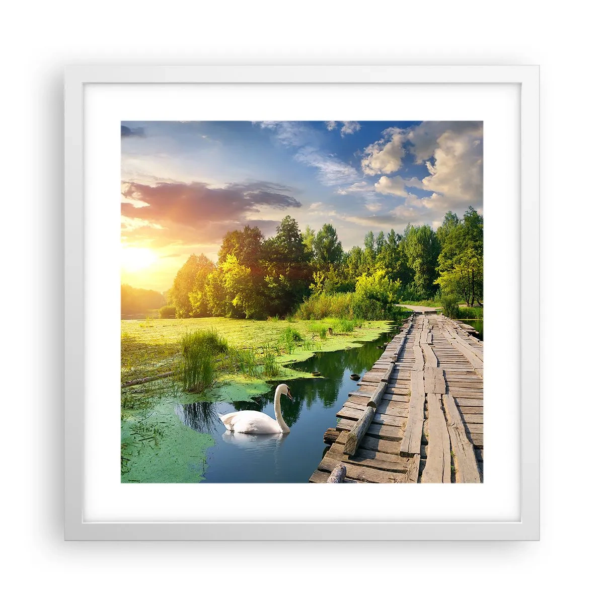 Plakat i hvid ramme - Sommer, sommer overalt - 40x40 cm