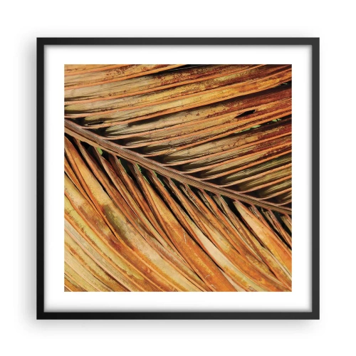 Plakat i sort ramme - Kokosnød guld - 50x50 cm