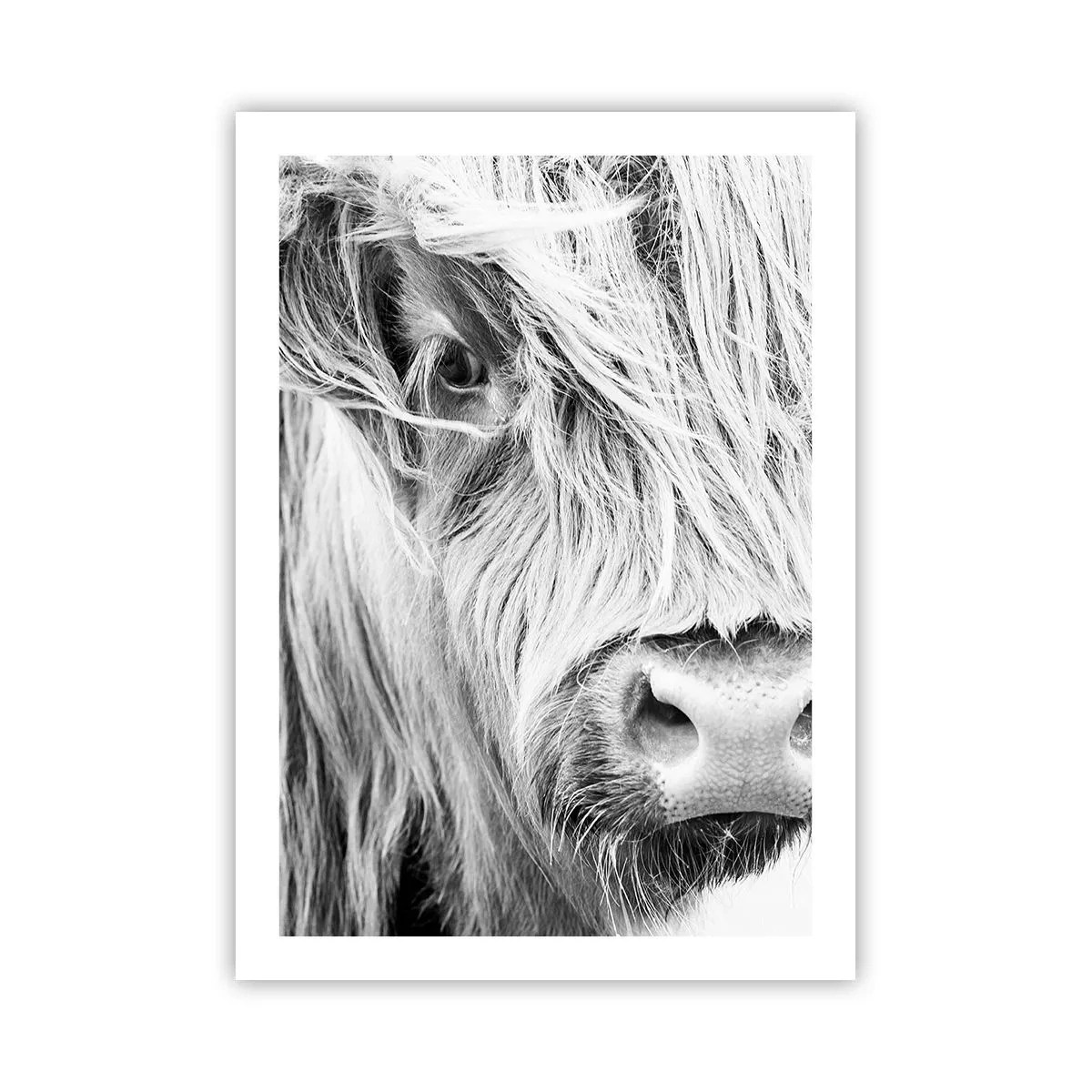 Plakat - Skotsk vildmark - 50x70 cm