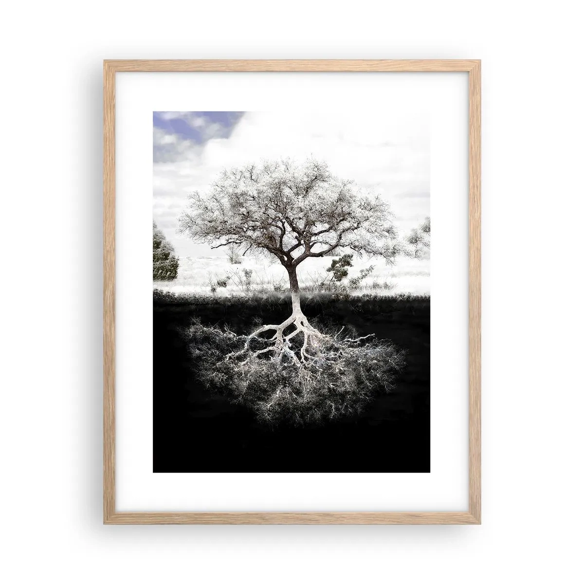 Plakat i ramme af lyst egetræ - Opdagelse af verdens natur - 40x50 cm