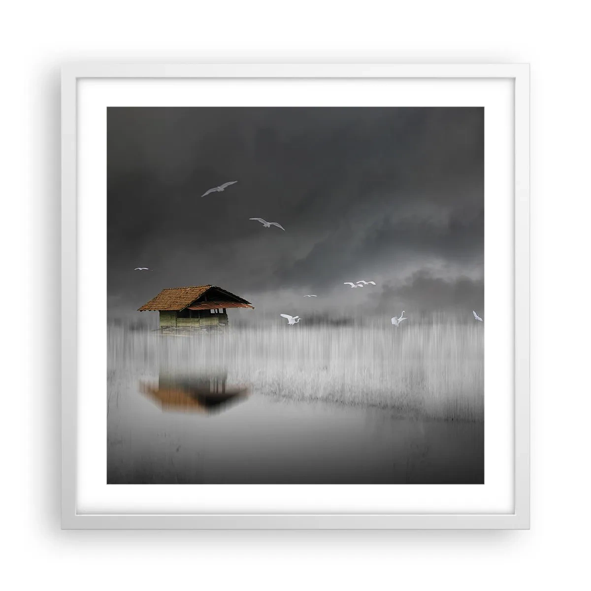 Plakat i hvid ramme - Beskyttelse mod regnen - 50x50 cm