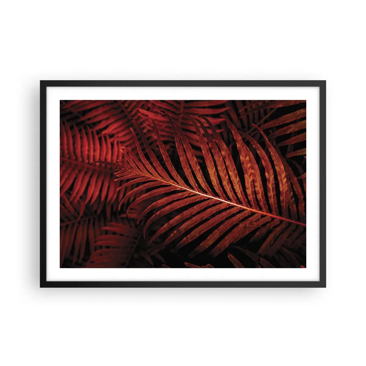 Plakat i sort ramme - Livets varme - 70x50 cm