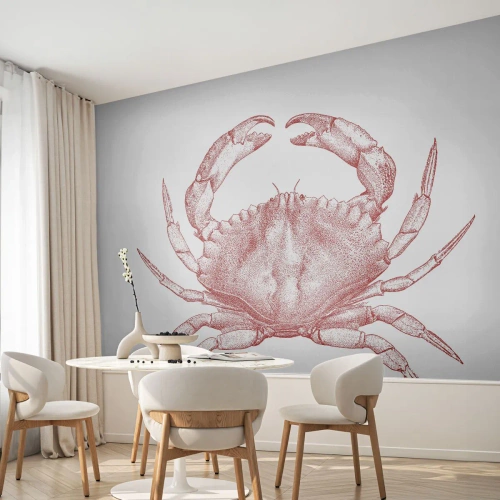Fototapet Selvklæbende Deluxe Sticker - Krabbe over krabber - Krabbe, Fisk og skaldyr, Skaldyr - 100x70 cm