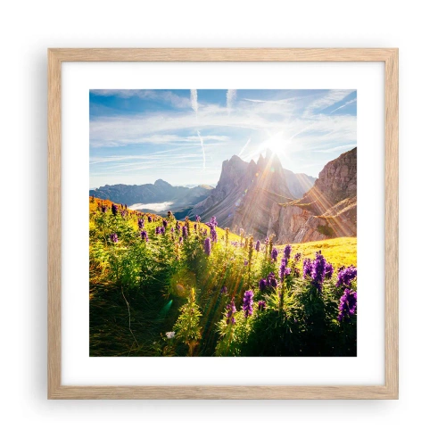 Plakat i ramme af lyst egetræ - Urternes hemmelige liv - 40x40 cm