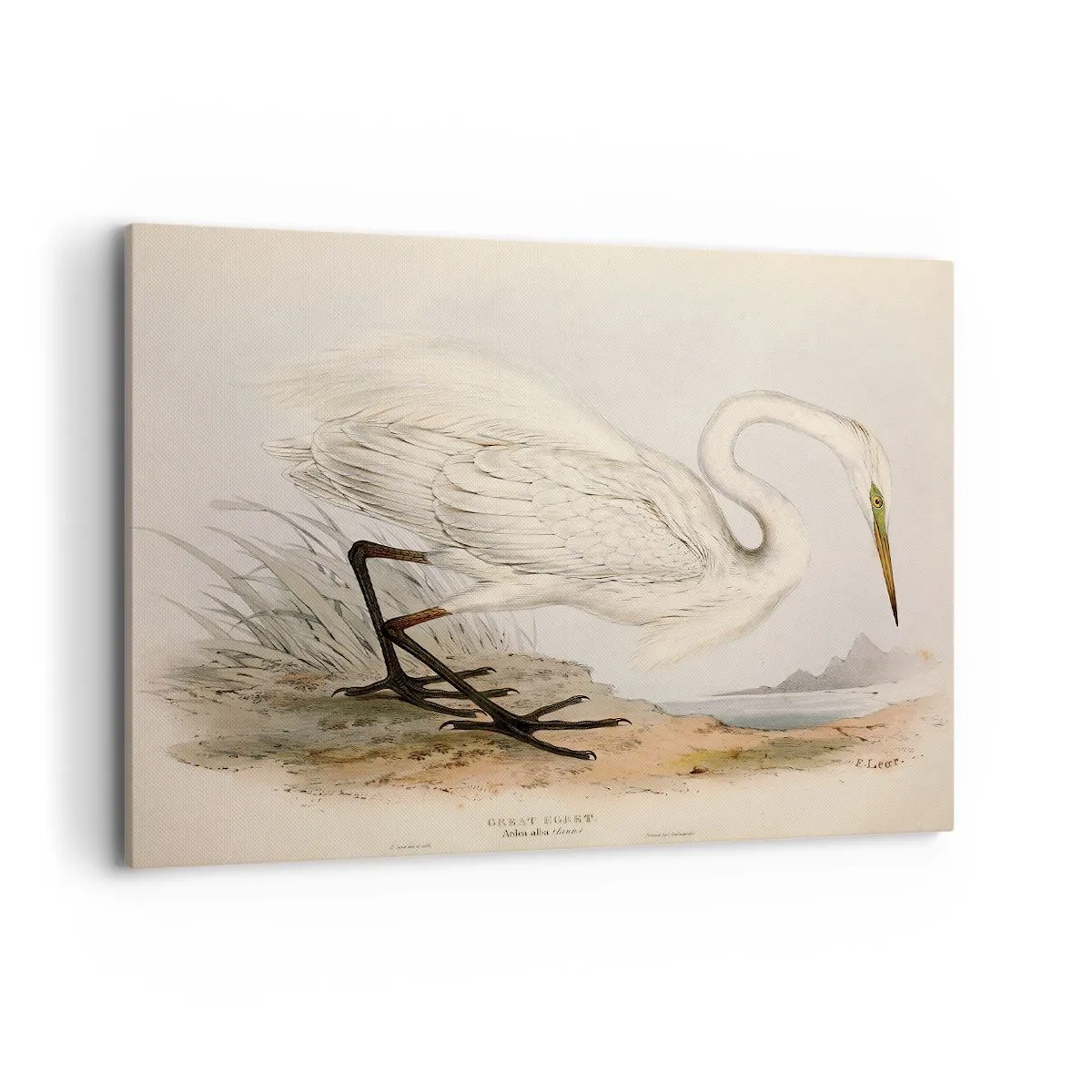 Lærredstryk - Billede på lærred - Dame på sivene - 100x70 cm