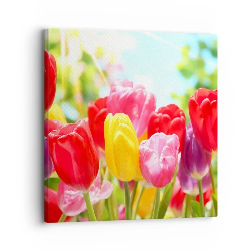 Lærredstryk - Billede på lærred - Det er os, maj måneds farver! - 30x30 cm