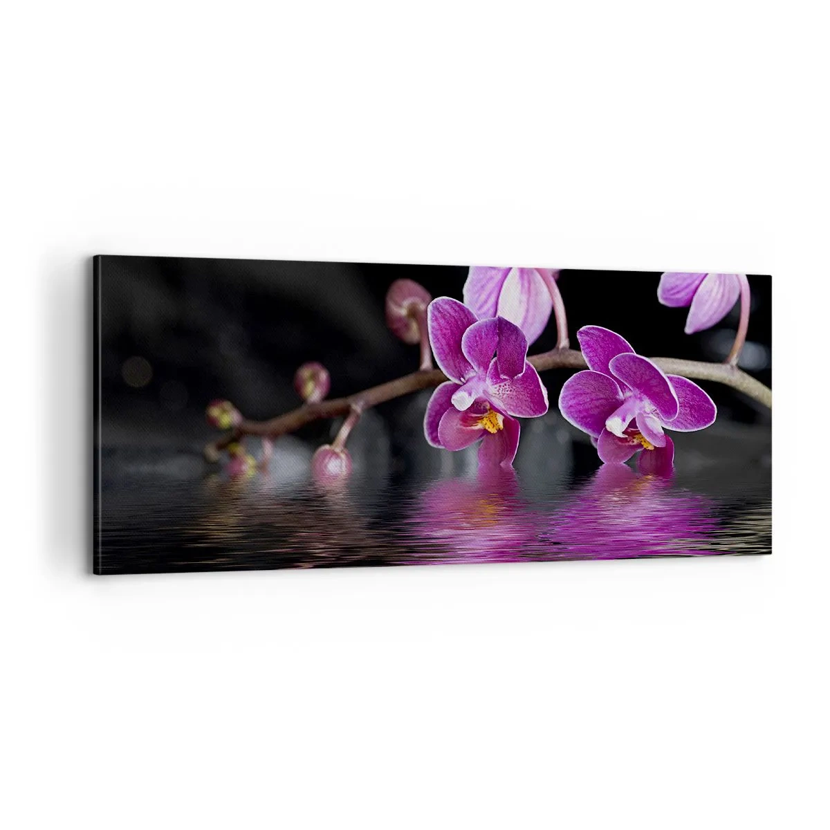 Lærredstryk - Billede på lærred - En lilla afspejling af skønhed - 100x40 cm